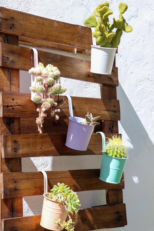 El Patio De Los Naranjos Guadalupe  Eksteriør bilde