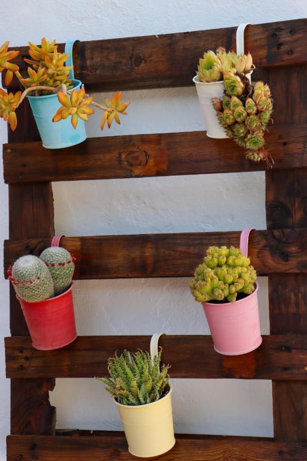 El Patio De Los Naranjos Guadalupe  Eksteriør bilde