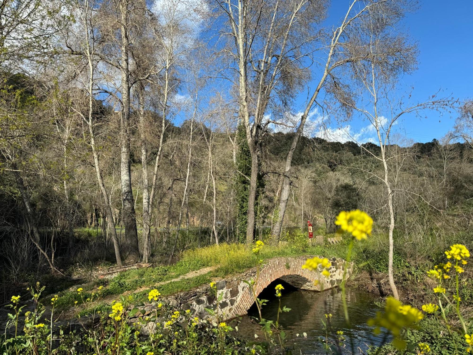 El Patio De Los Naranjos Guadalupe  Eksteriør bilde